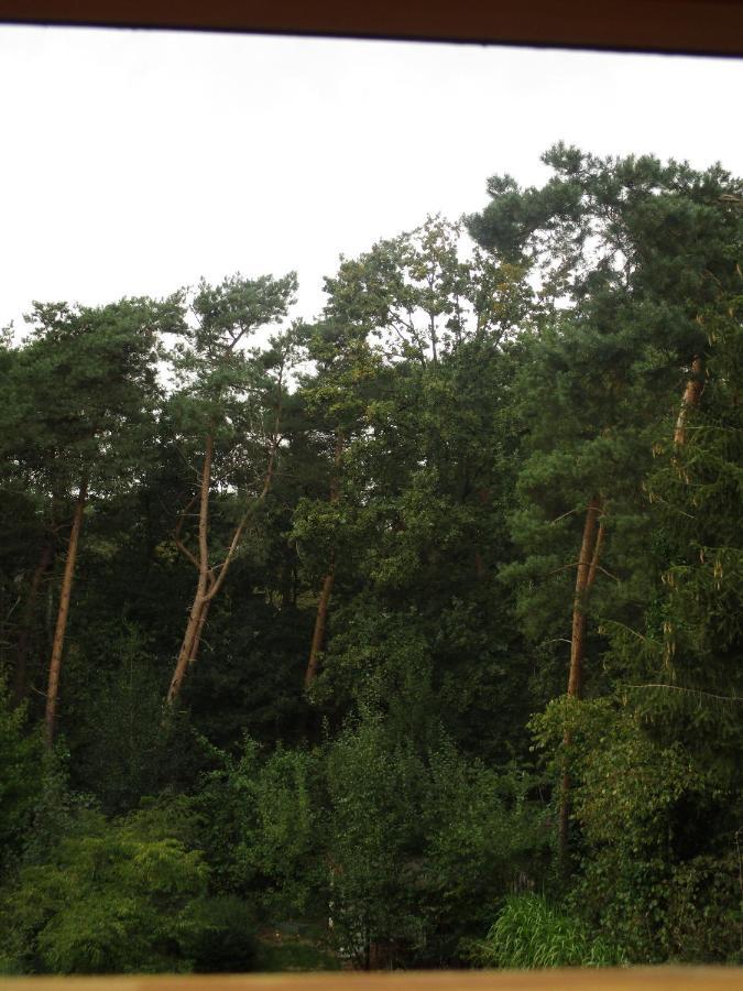 De Loteling Zoersel Exteriör bild